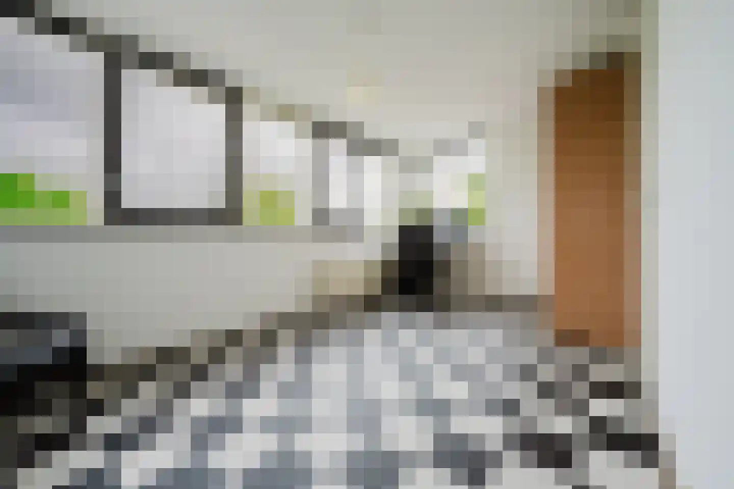 Hélène Swarthstraat 2 Spijkenisse thumbnail 28