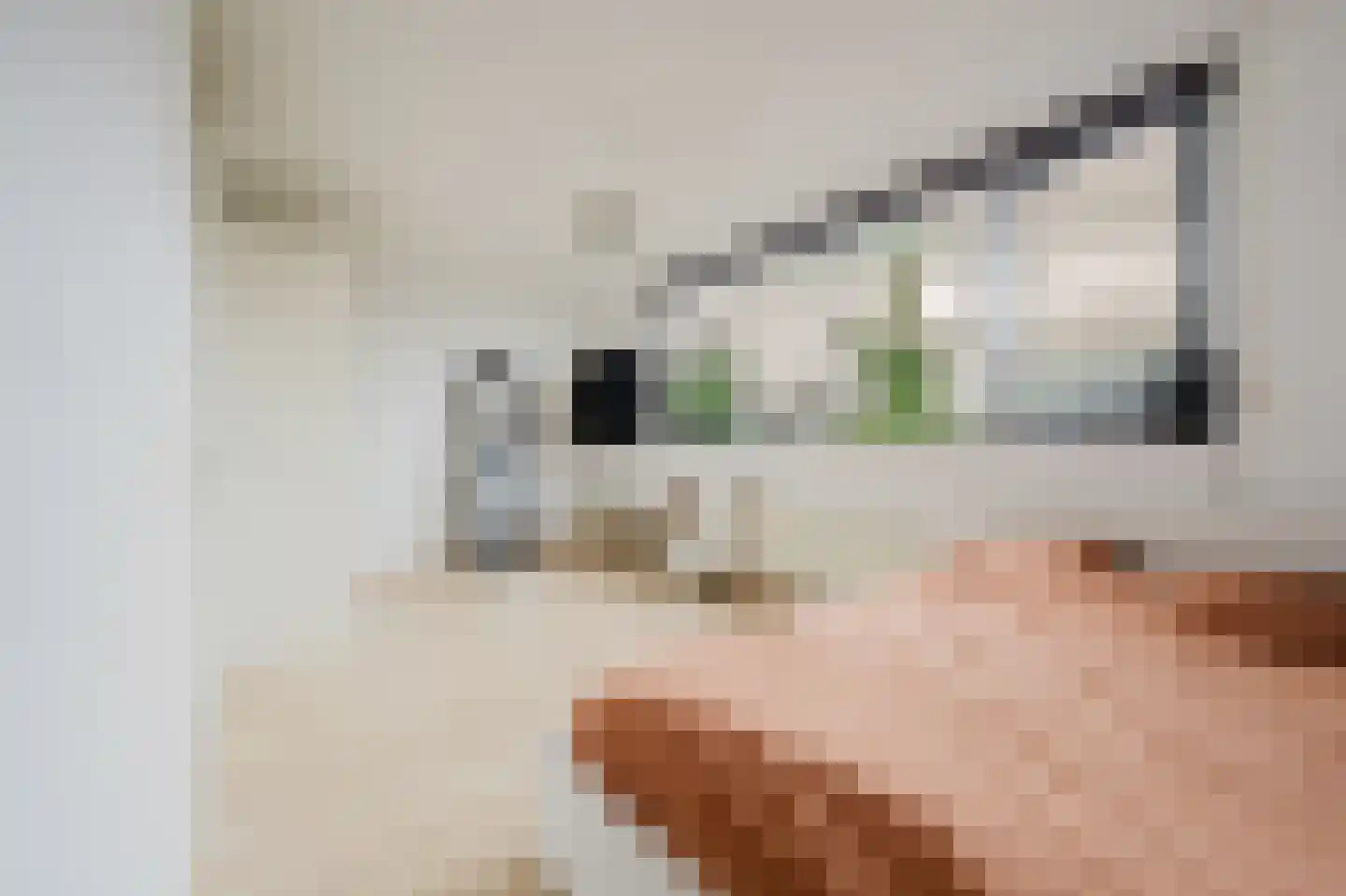 Hélène Swarthstraat 2 Spijkenisse thumbnail 31