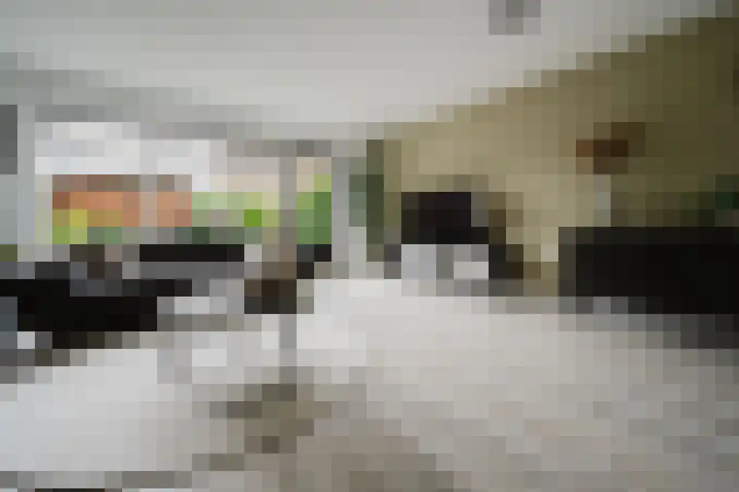 Hélène Swarthstraat 2 Spijkenisse thumbnail 9