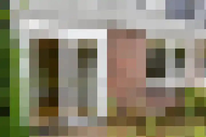 Hélène Swarthstraat 20 Haarlem thumbnail 16