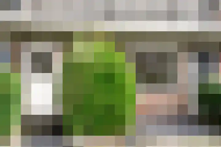 Hélène Swarthstraat 20 Haarlem thumbnail 19