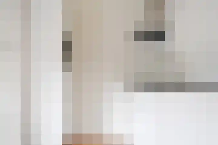 Hélène Swarthstraat 20 Haarlem thumbnail 6
