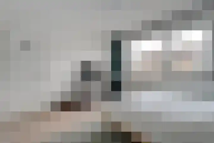 Helene Swarthstraat 20 Zwolle thumbnail 20