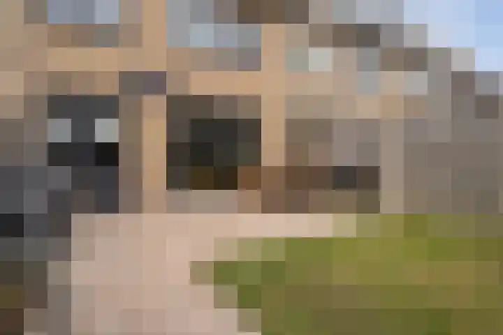 Helene Swarthstraat 20 Zwolle thumbnail 31