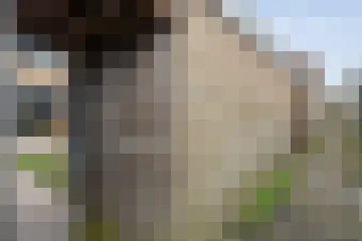 Helene Swarthstraat 20 Zwolle thumbnail 33
