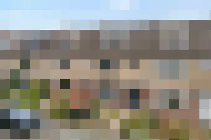 Helene Swarthstraat 20 Zwolle thumbnail 34