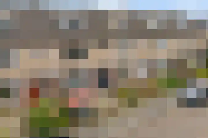 Helene Swarthstraat 20 Zwolle thumbnail 35