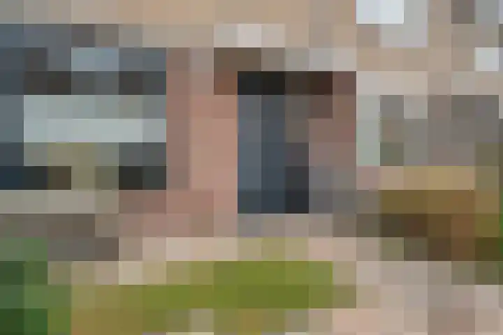 Helene Swarthstraat 20 Zwolle thumbnail 4