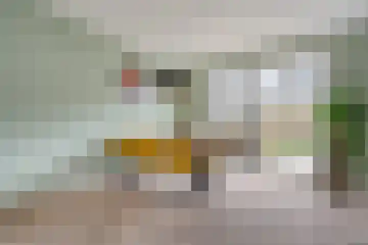 Helene Swarthstraat 20 Zwolle thumbnail 9