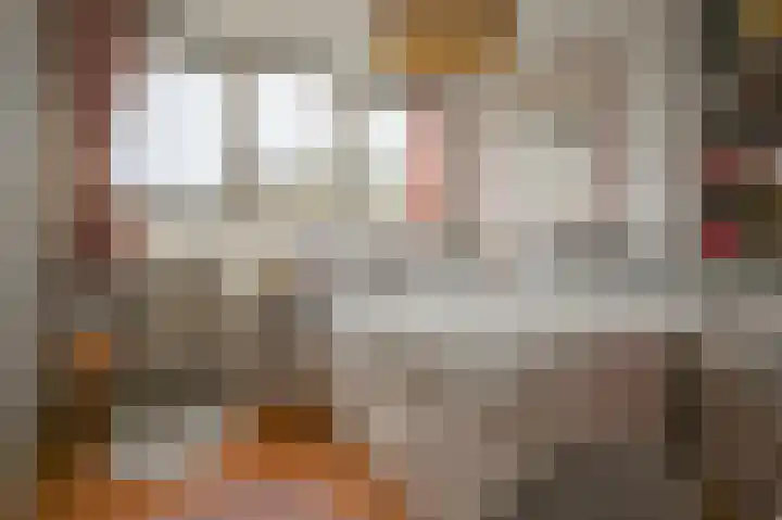 Hélène Swarthstraat 26 Haarlem thumbnail 13