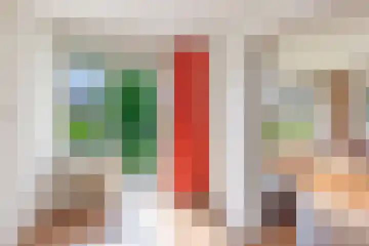 Helene Swarthstraat 28 Zwolle thumbnail 13