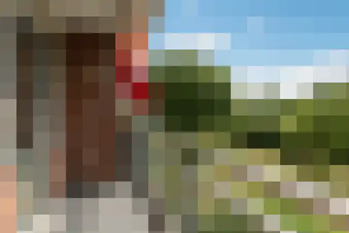 Helene Swarthstraat 28 Zwolle thumbnail 16