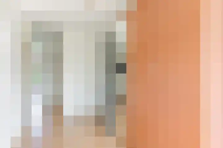 Helene Swarthstraat 28 Zwolle thumbnail 30