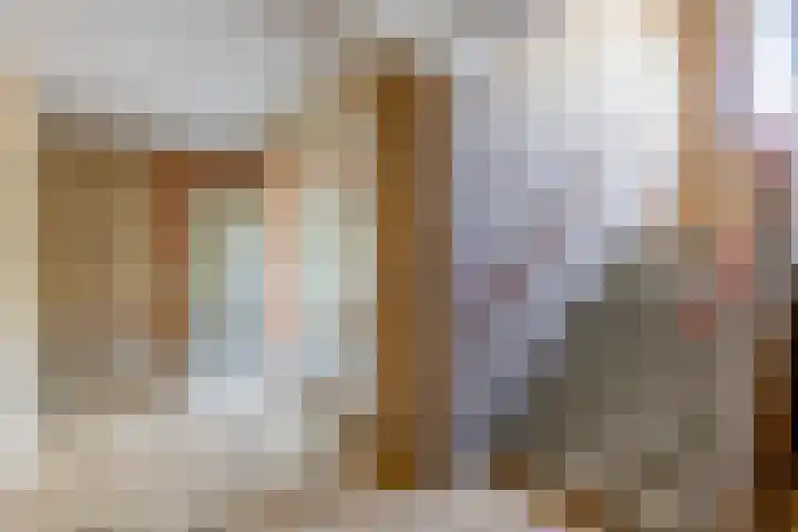 Helene Swarthstraat 28 Zwolle thumbnail 34
