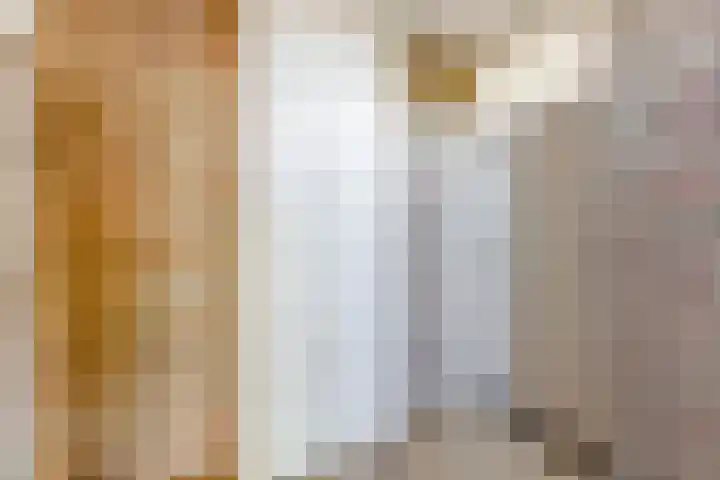 Helene Swarthstraat 28 Zwolle thumbnail 37