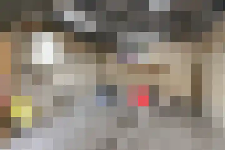 Helene Swarthstraat 28 Zwolle thumbnail 39