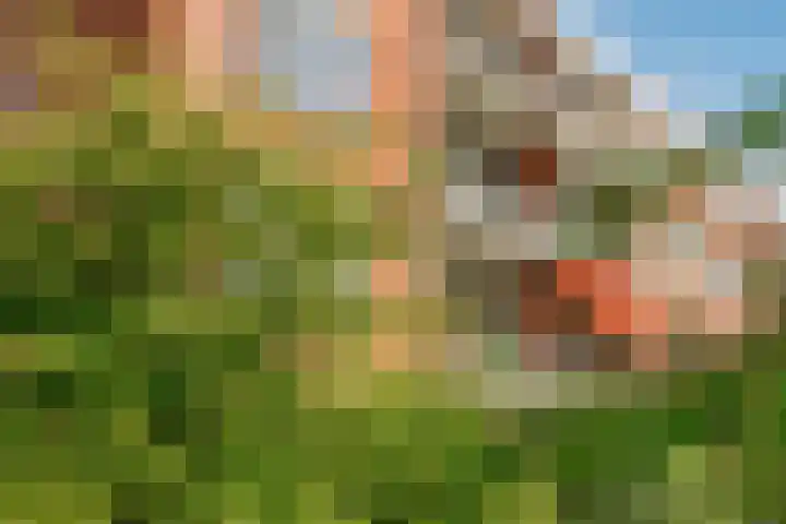 Helene Swarthstraat 28 Zwolle thumbnail 4