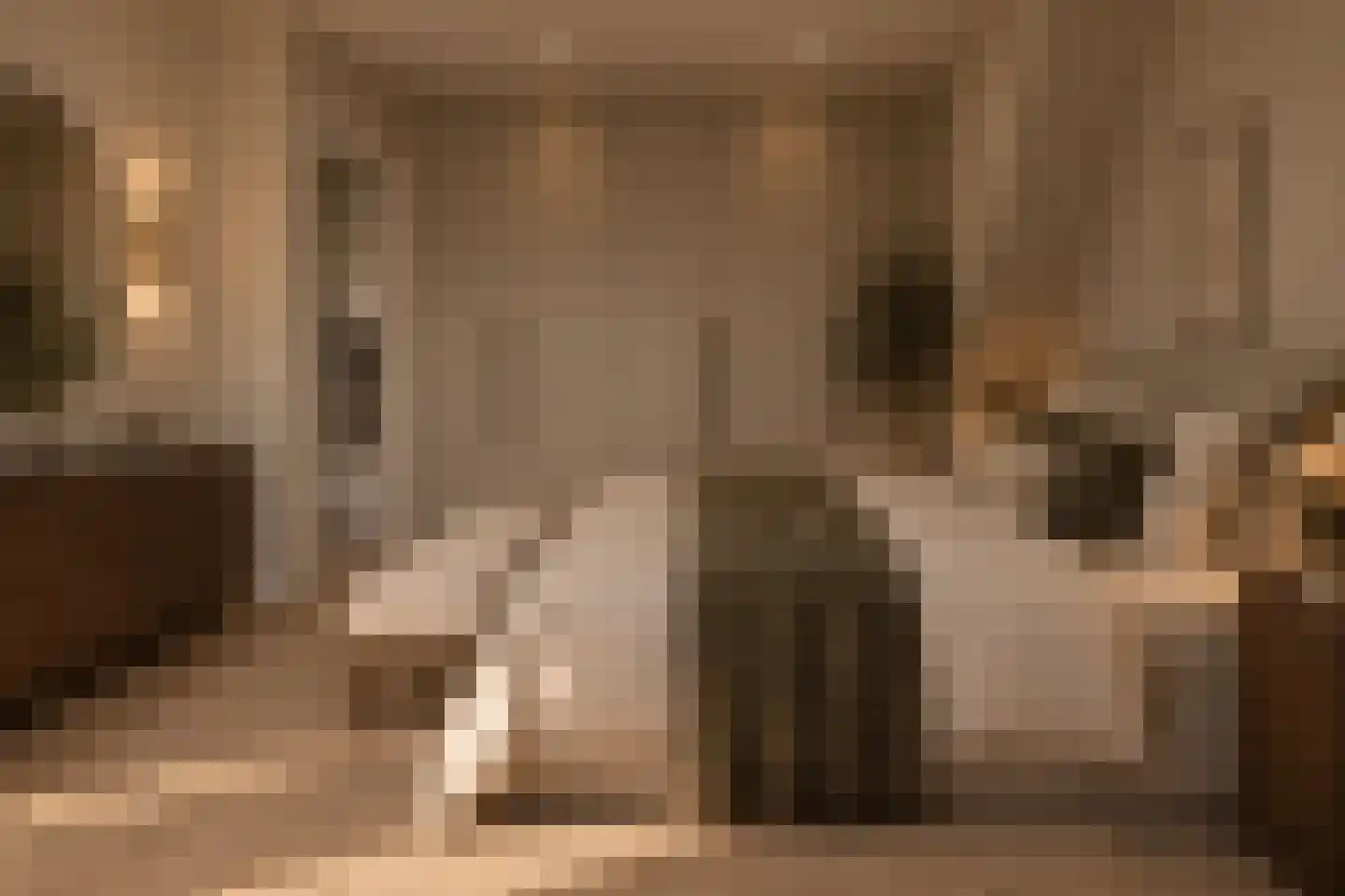 Hélène Swarthstraat 3 Rotterdam thumbnail 4