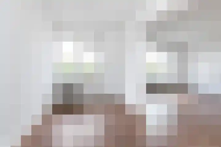 Helene Swarthstraat 44 Zwolle thumbnail 11