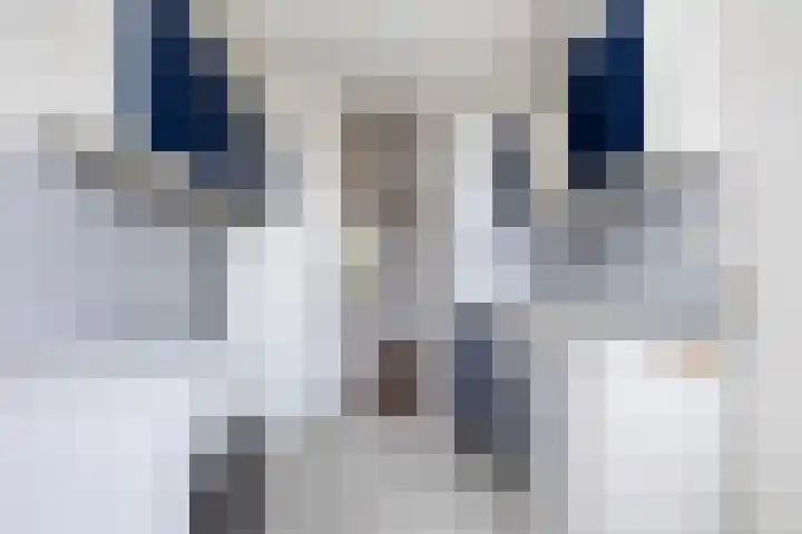 Helene Swarthstraat 44 Zwolle thumbnail 21