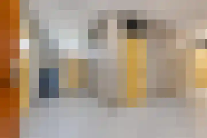 Helene Swarthstraat 44 Zwolle thumbnail 5