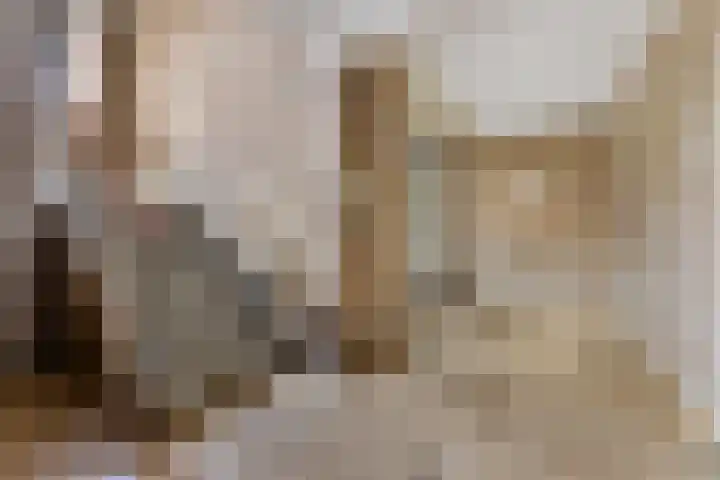 Helene Swarthstraat 44 Zwolle thumbnail 6
