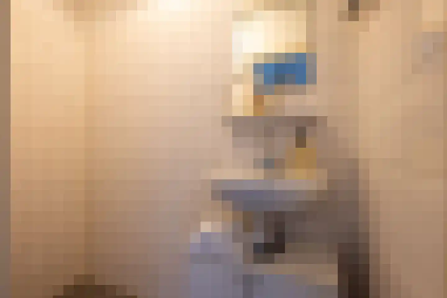 Hélène Swarthstraat 5 D Rotterdam thumbnail 15