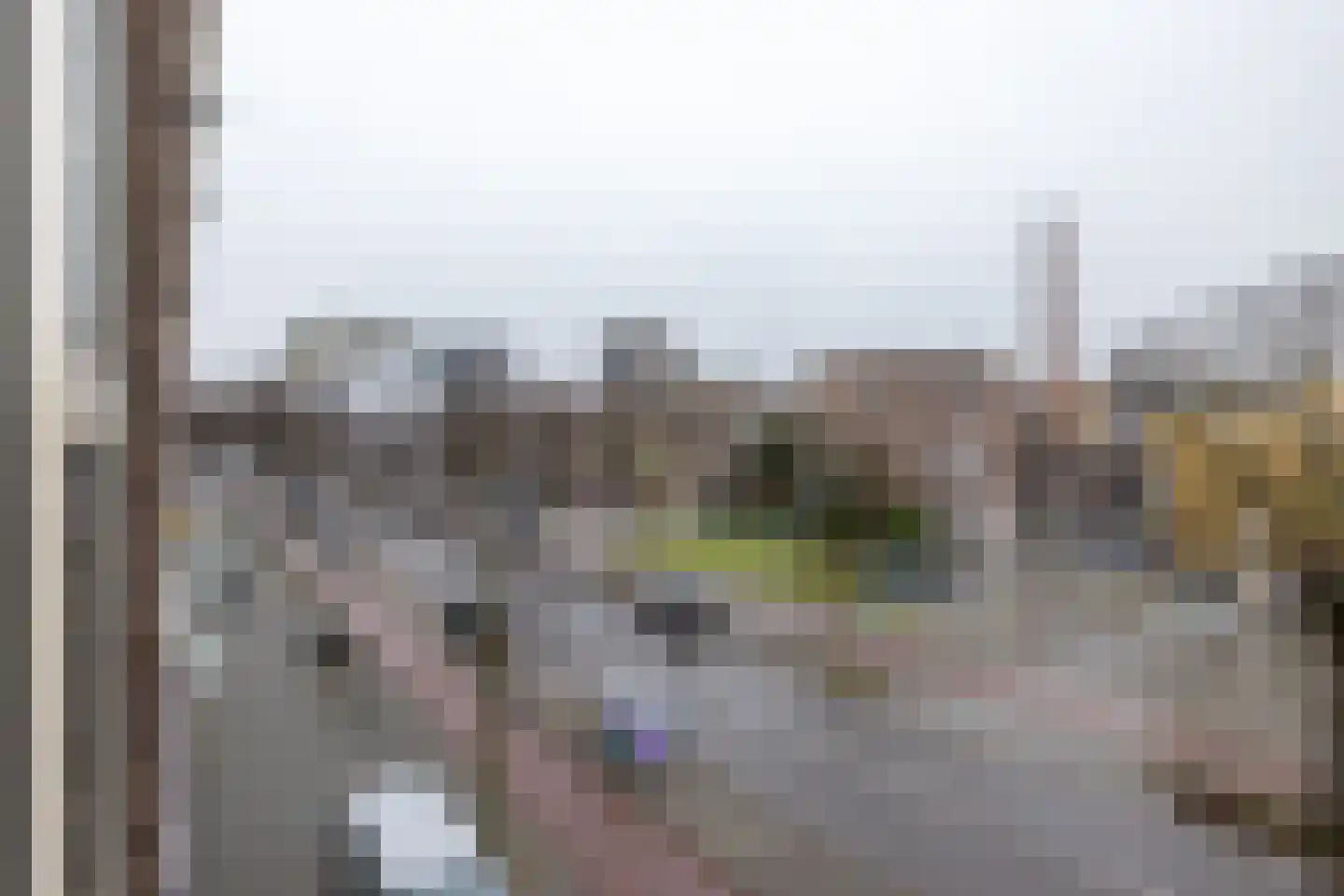Hélène Swarthstraat 5 D Rotterdam thumbnail 4