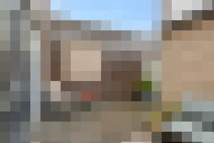 Hélène Swarthstraat 7 's-Hertogenbosch thumbnail 34