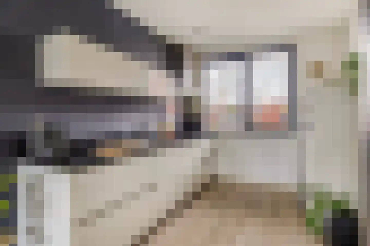 Hélène Swarthstraat 8 's-Hertogenbosch thumbnail 6