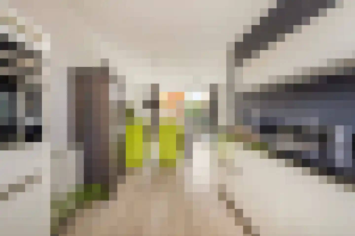 Hélène Swarthstraat 8 's-Hertogenbosch thumbnail 7