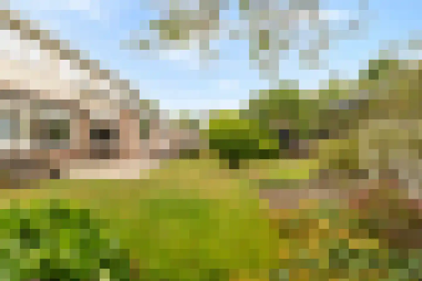 Helfrichlaan 11 Wieringerwerf thumbnail 29
