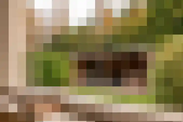 Helfrichlaan 18 Wieringerwerf thumbnail 18