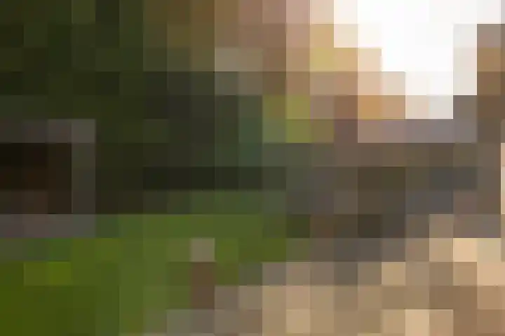 Helfrichlaan 18 Wieringerwerf thumbnail 22