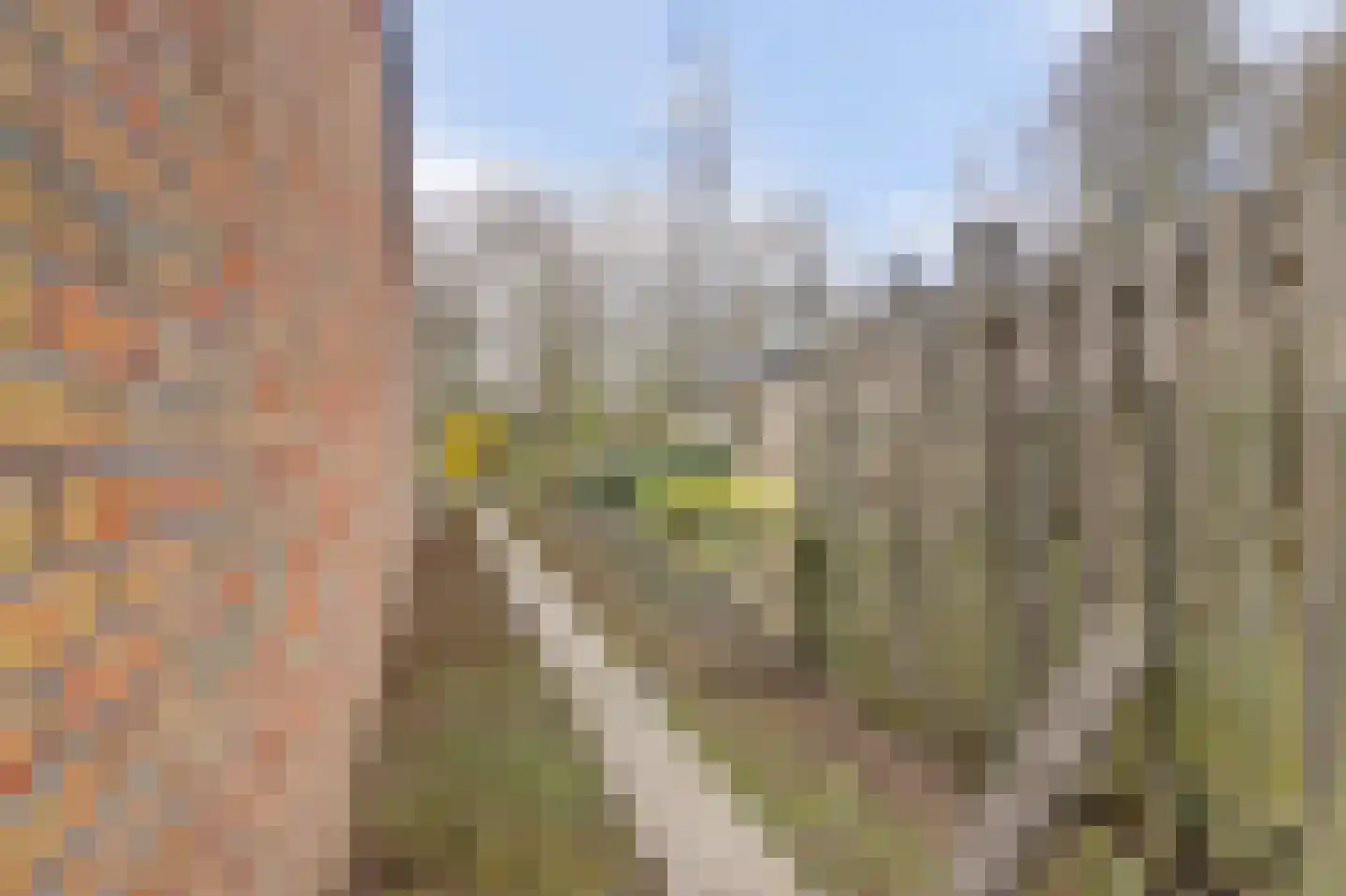 Helfrichlaan 2 Wieringerwerf thumbnail 29
