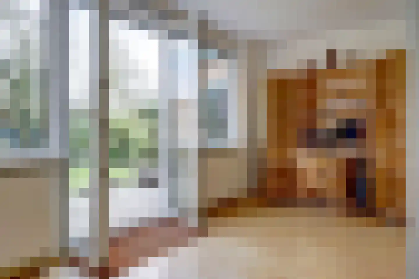 Helfrichlaan 2 Wieringerwerf foto 3