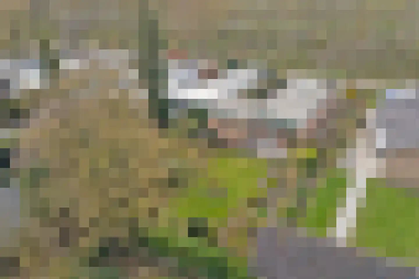 Helfrichlaan 2 Wieringerwerf thumbnail 34