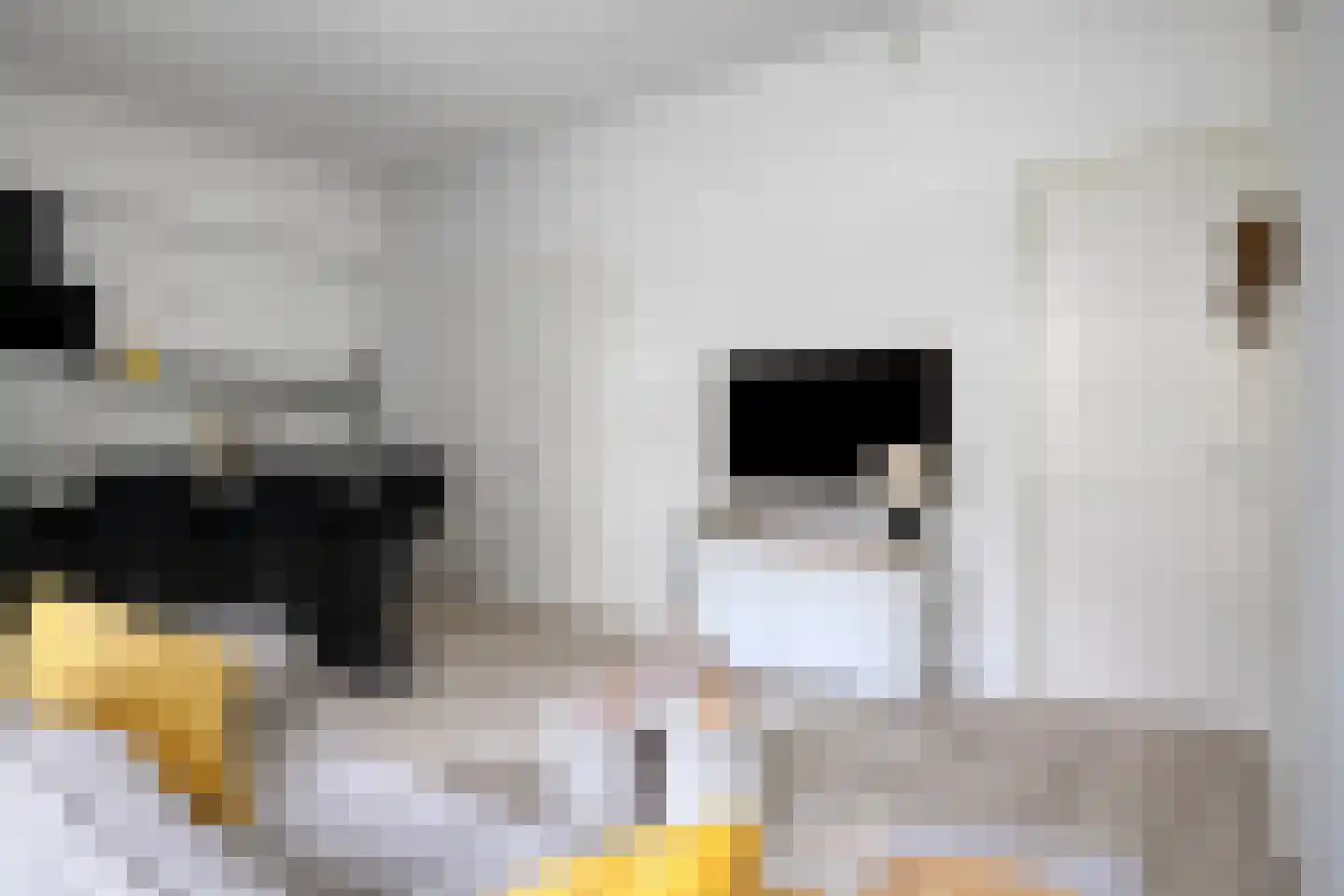 Helfrichstraat 1 K Apeldoorn thumbnail 6