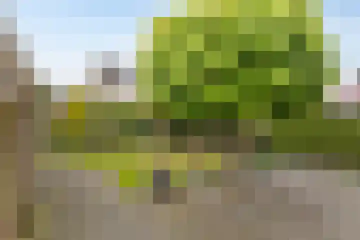 Helfrichstraat 12 Borne thumbnail 6