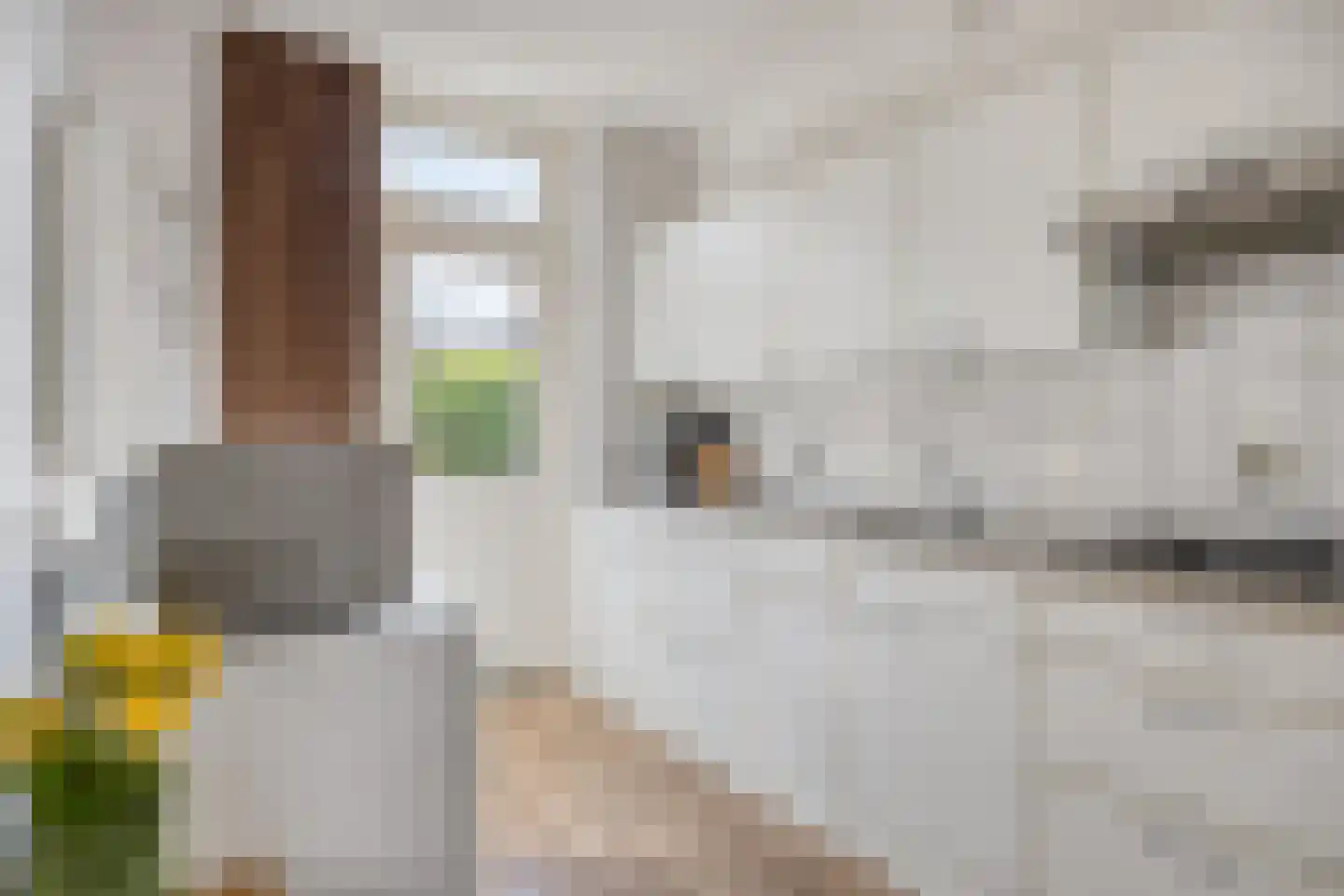 Helfrichstraat 19 Venray thumbnail 10