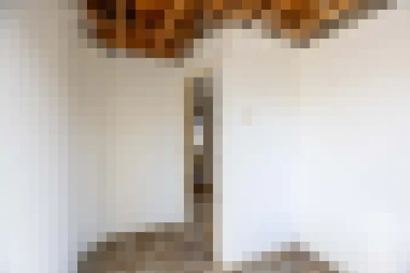 Helfrichstraat 24 Venray thumbnail 19