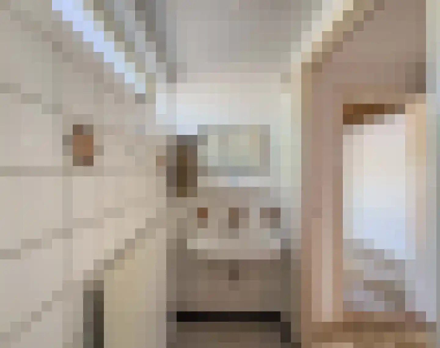 Helfrichstraat 24 Venray thumbnail 24