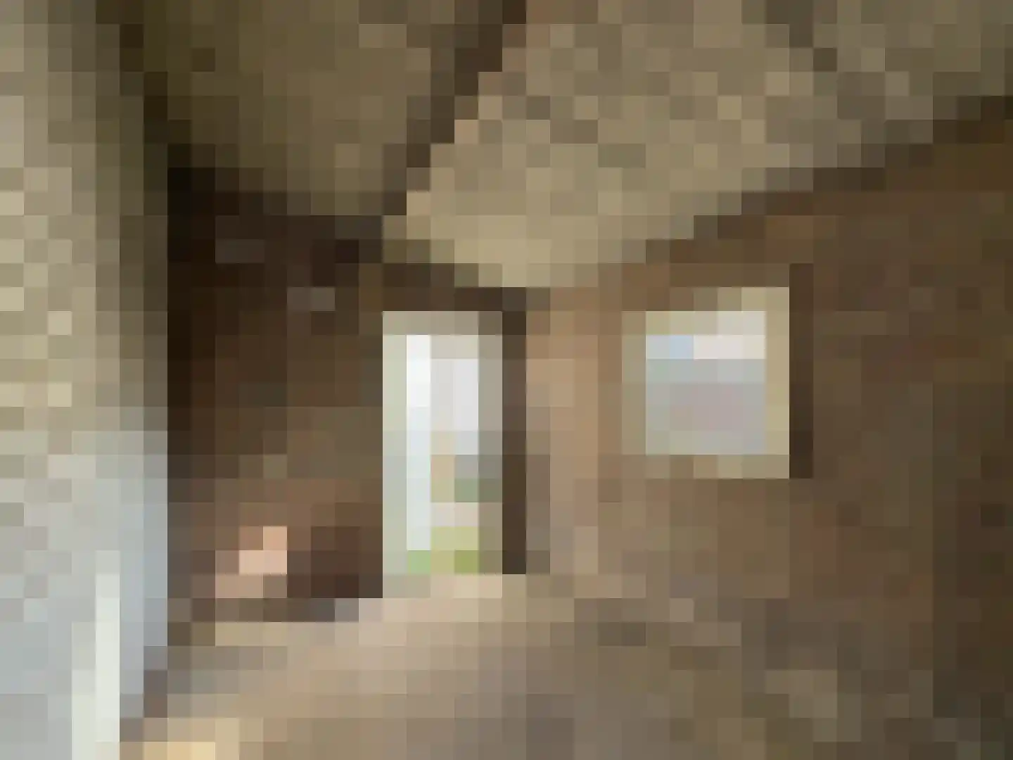 Helfrichstraat 24 Venray thumbnail 29