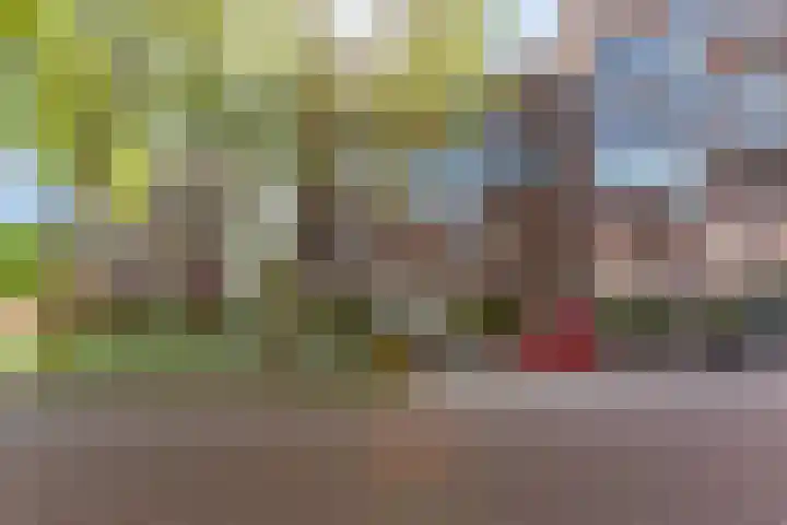 Helfrichstraat 25 B Apeldoorn thumbnail 32