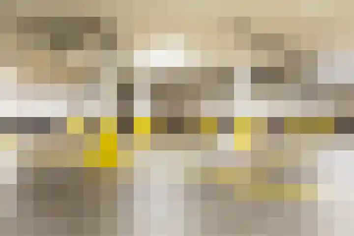 Helfrichstraat 25 C Apeldoorn thumbnail 25