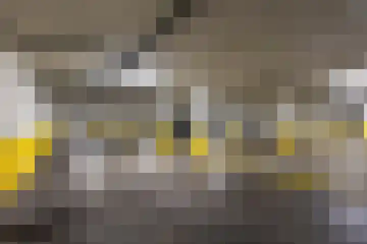Helfrichstraat 25 L Apeldoorn thumbnail 22