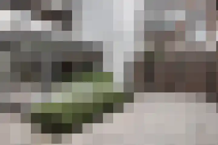 Helfrichstraat 25 L Apeldoorn thumbnail 26