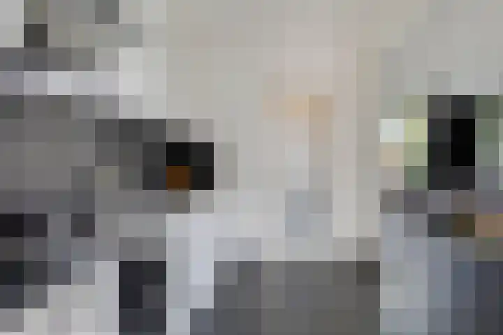 Helfrichstraat 3 Venray thumbnail 14