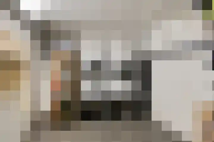 Helfrichstraat 3 Venray thumbnail 16