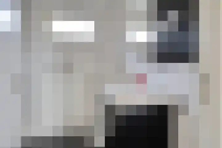 Helfrichstraat 3 Venray thumbnail 26